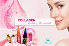 Collagen và những điều cần biết. Top 10+ sản phẩm bổ sung Collagen tốt nhất 2023