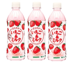 SANGARIA- Nước sữa dâu 500ml