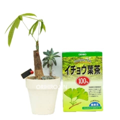 ORIHIRO - Trà Ginkgo Biloba bổ não hỗ trợ trí nhớ 26 gói