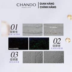 Chando Himalaya - Kem Nền Làm Săn Chắc Da Chống Lão Hóa Chiết Xuất Từ Quả Mộc