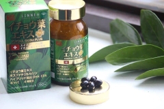 RIBETO - Viên Uống Bổ Não, Ngừa Đột Quỵ Ichoha Ekisu Plus Nhật Bản 90 viên ( 30 ngày)