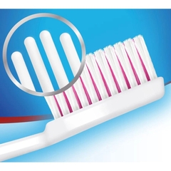 Japan - Bàn Chải Đánh Răng Người Lớn Aquafresh