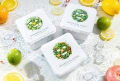 Botanical Esthe - Mặt Nạ Thảo Mộc Đa Năng Botanical Esthe Hộp 30 Miếng Mẫu 2