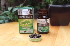 NOGUCHI - Viên Uống Bổ Não, Tiền Đình Ginkgo Biloba Noguchi 60 Viên (30 Ngày)