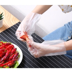 Seiwa-Pro - Set 100 Găng Tay Tiện Lợi Dùng 1 Lần Seiwa Pro Nhật Bản