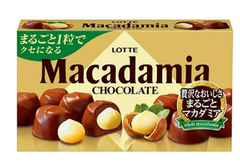 Socola bọc hạt Mắc ca Macadamia Chocolate Lotte 67g