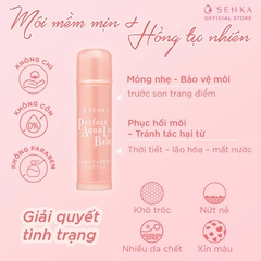 Senka - Son Dưỡng Môi Cấp Ẩm Senka Perfect Aqua Lip Balm 4.5g (Ban Ngày)
