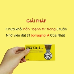 Borraginol - Viên Đặt Trĩ Chữ A Borraginol 20 Viên