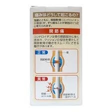 Viên Uống Bổ Khớp Zs Chondroitin 1560mg Của Nhật Bản