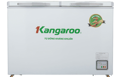 Tủ đông Kangaroo 286 lít KGFZ399NC1