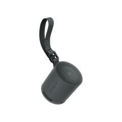 Loa Bluetooth di động Sony SRS-XB100/BCE - Màu đen