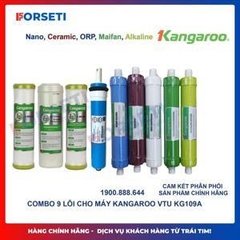 Máy lọc nước RO Kangaroo KG110AKV