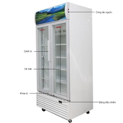 Tủ Mát Sanaky 700 Lít VH-8009HP