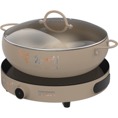 Bếp từ đơn Hawonkoo CEH-101-I-CF