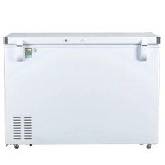 Tủ đông Alaska 205 lít BD-300C