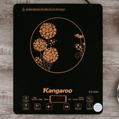 Bếp từ Kangaroo KG408I