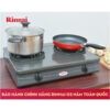 BẾP GAS RINNAI RV-360(GM)N