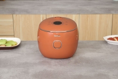 Nồi cơm điện tử Tefal 0.72 lít RK535TY0