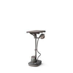 Bàn ủi hơi nước đứng Philips AIS6030/80