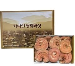 Nấm Linh Chi Hàn Quốc Gana 500g, 1Kg  가나 영지버섯