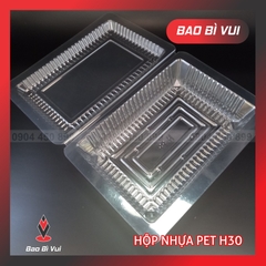 HỘP NHỰA ĐỊNH HÌNH H30