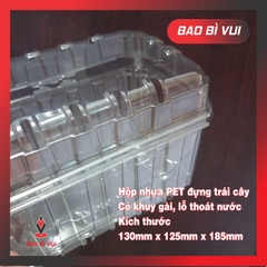 HỘP NHỰA ĐỰNG 1 KG TRÁI CÂY CÓ LỖ THÔNG KHÍ