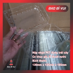 HỘP NHỰA ĐỰNG 1 KG TRÁI CÂY CÓ LỖ THÔNG KHÍ