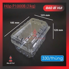 HỘP NHỰA ĐỰNG 1 KG TRÁI CÂY CÓ LỖ THÔNG KHÍ