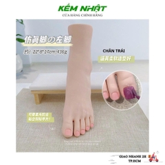 Bàn chân giả silicon giống thật, công dụng tập làm nail..