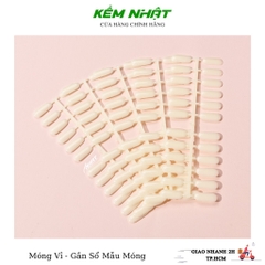 Móng Vỉ - Gắn Sổ Mẫu Móng