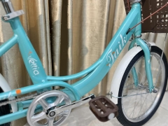 Xe đạp trẻ em Taik V20 ( 7 - 12 tuổi )
