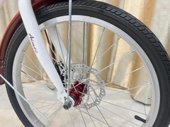 Xe đạp Aimee V20  ( 1m30 đến 1m80 )