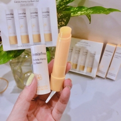 Son dưỡng môi Innisfree Canola Honey Lip Balm