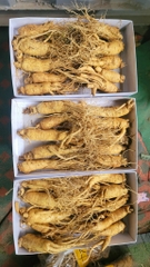 Nhân sâm tươi Guemsan 6 năm tuổi loại 10 củ 1000 gam