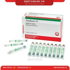 Thuốc tê xanh lá Septodont Scandonest 3% ( Hộp/50 ống)