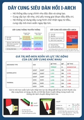 Dây Cung Siêu Đàn Hồi I-Arch (Sợi)