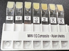 Composite đặc MANI EG - Tuýp 4g