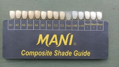 Composite Đặc MANI MICRO 4g Micro Hybrid