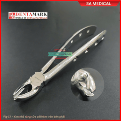 Bộ Kìm nhổ răng người lớn 12 chi tiết - SA