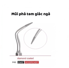 Mũi phá tam giác ngà P4D