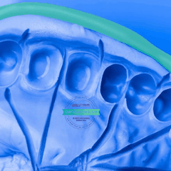 Cao su lấy dấu đặc -Silicon đặc Silagum Putty DMG