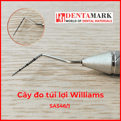 Cây đo túi lợi Williams - SA 546/1