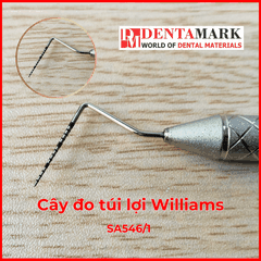Cây đo túi lợi Williams - SA 546/1