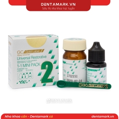 Cement trám Fuji 2 Nhỏ