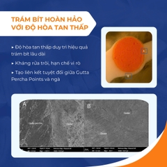 Chất Hàn Ống Tủy Bioceramic Dia Root hãng Diadent Hàn Quốc