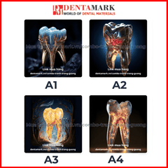 Combo tranh nha khoa tráng gương nghệ thuật siêu đẹp hình răng và ngôi nhà