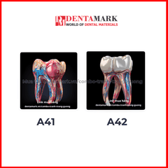 Combo tranh nha khoa tráng gương nghệ thuật siêu đẹp hình răng và ngôi nhà