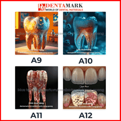 Combo tranh nha khoa tráng gương nghệ thuật siêu đẹp hình răng và ngôi nhà