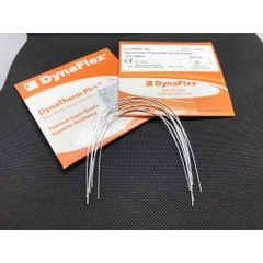 Dây cung Niti Dynaflex kích hoạt nhiệt (Gói 10 sợi) (MUA 3 TẶNG 1)
