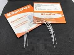 Dây cung Niti kích hoạt nhiệt Dynatherm Plus - DynaFlex (MUA 3 TẶNG 1)